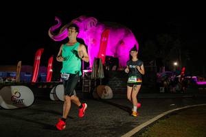 BIB: 
                            <button type="button" onclick="openModal(26534058)" class="btn btn-primary btn-sm float-right btn-popup" data-toggle="modal" data-target=".modal-high-quality">
                        <i class="fas fa-shopping-cart"></i> Add to Cart
                    </button>
                                            <button type="button" onclick="isThisMe(26534058, true)" class="btn btn-success btn-sm float-right btn-popup btn-isme hidden" data-toggle="tooltip" data-placement="bottom" title="นี่คือรูปของคุณใช่ไหม คลิกที่นี่เพื่อเอาเข้าอัลบั้ม">
                        <i class="fas fa-plus"></i> Add to album
                    </button>
                    <button type="button" onclick="isThisMe(26534058, false)" class="btn btn-warning btn-sm float-right btn-popup btn-isnotme hidden">
                        <i class="fas fa-ban"></i> Remove from album
                    </button>